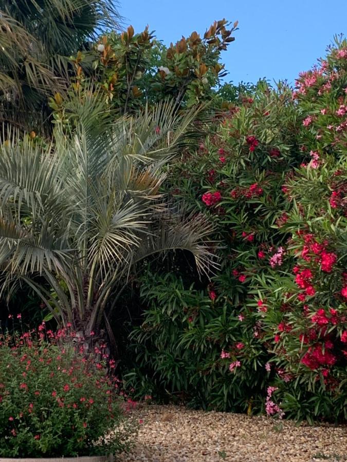 La Dolce Vita Occitane Conilhac-Corbières Εξωτερικό φωτογραφία